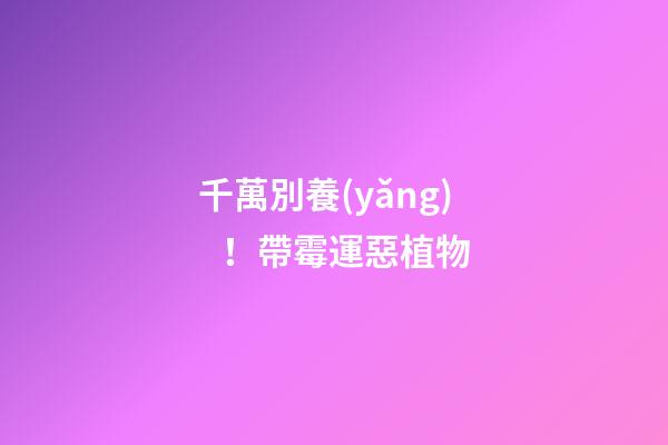 千萬別養(yǎng)！帶霉運惡植物